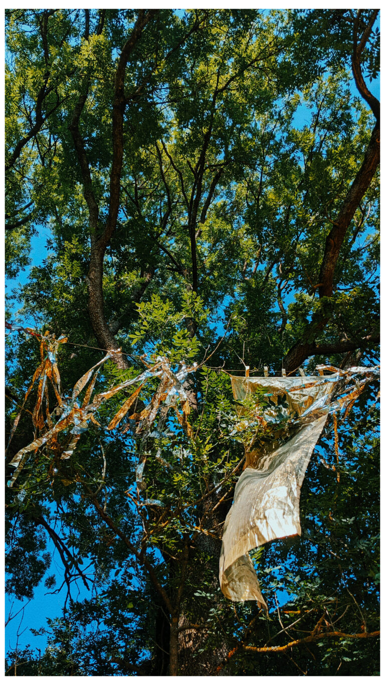 InShot_20240902_154742865