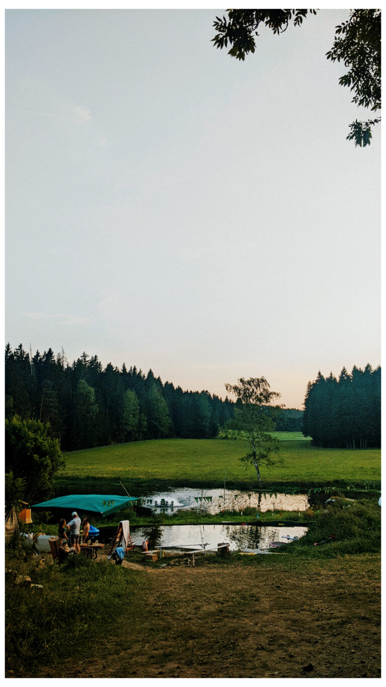 InShot_20240902_160117930